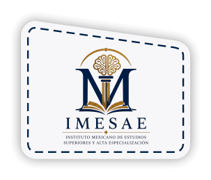 INSTITUTO IMESAE